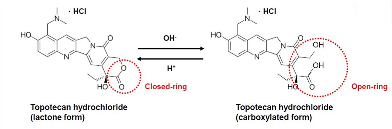 Fig.1 Chemical structures of topotecan